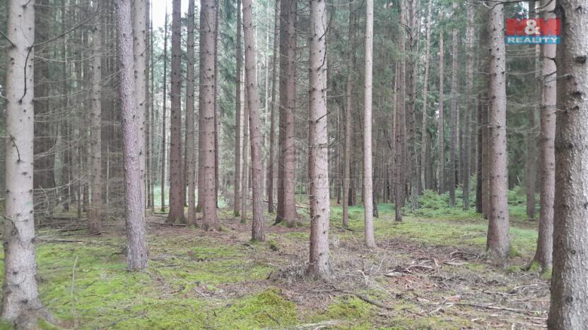 Prodej lesa, Bernartice - Zběšice, 3179 m2