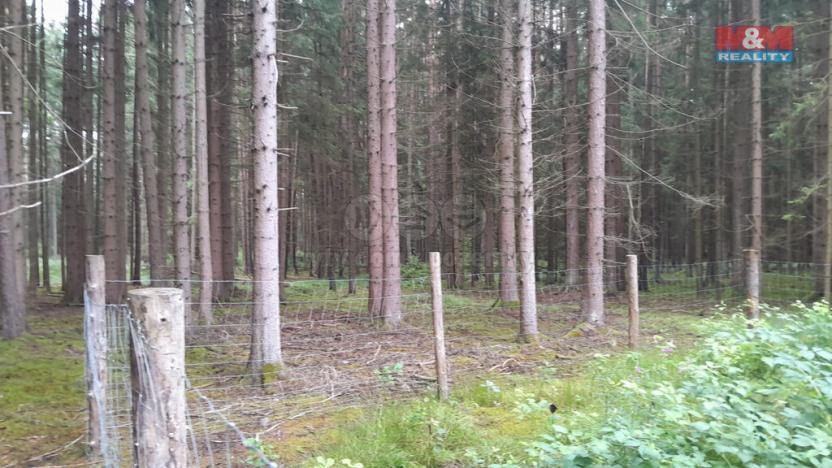 Prodej lesa, Bernartice - Zběšice, 3179 m2