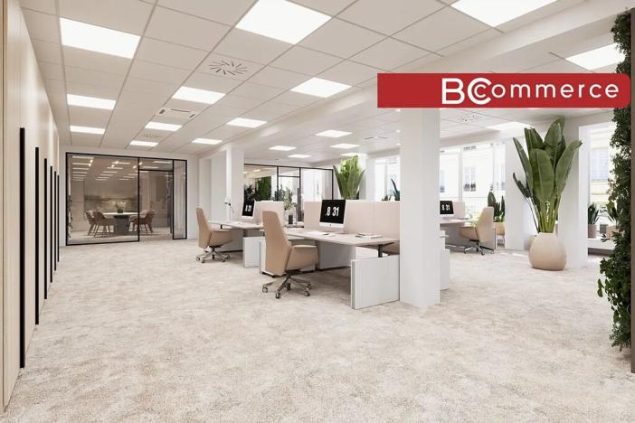 Pronájem kanceláře, Brno, Masarykova, 505 m2