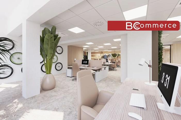 Pronájem kanceláře, Brno, Masarykova, 505 m2