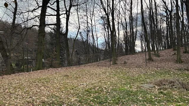 Prodej pozemku pro bydlení, Háj ve Slezsku, Pod Lesem, 693 m2