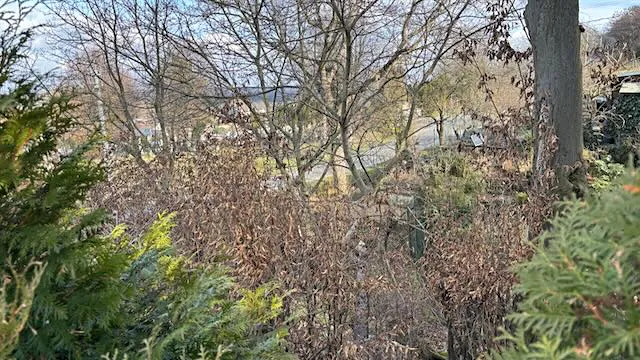 Prodej pozemku pro bydlení, Háj ve Slezsku, Pod Lesem, 693 m2