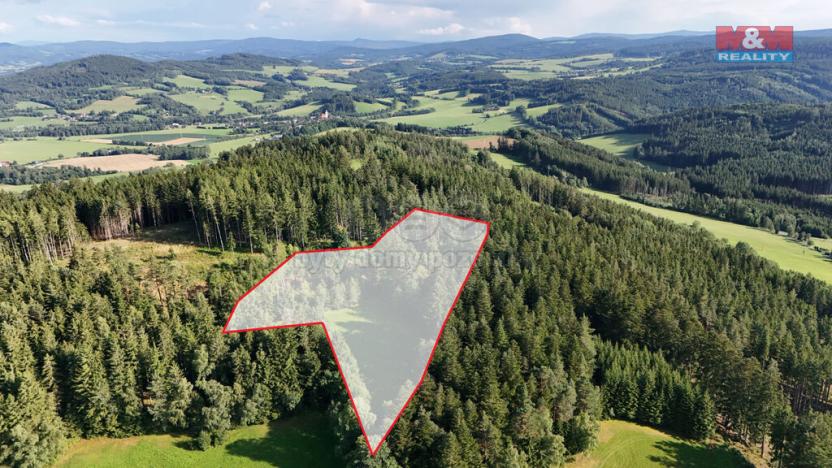 Prodej lesa, Petrovice u Sušice - Maršovice, 15707 m2