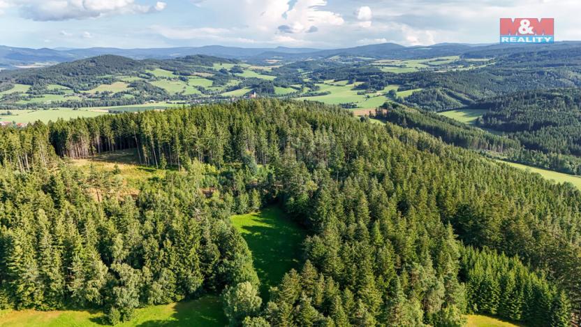 Prodej lesa, Petrovice u Sušice - Maršovice, 15707 m2