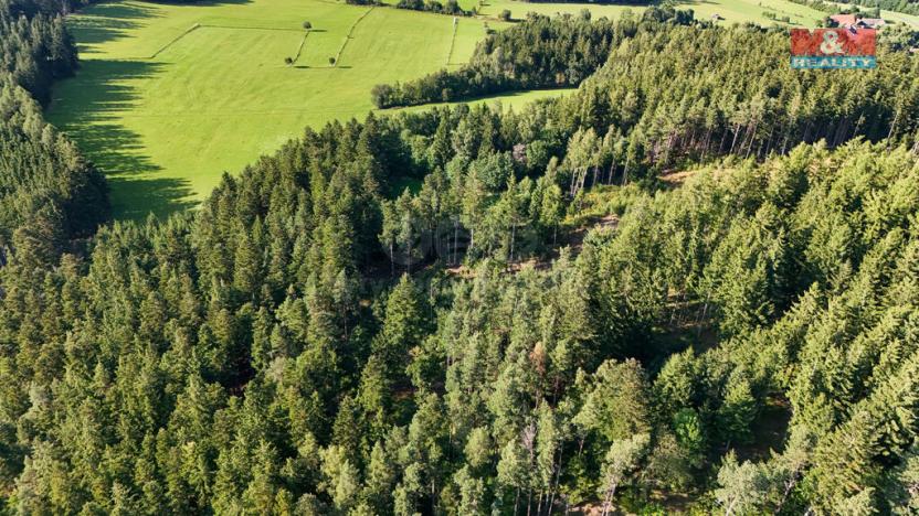 Prodej lesa, Petrovice u Sušice - Maršovice, 15707 m2