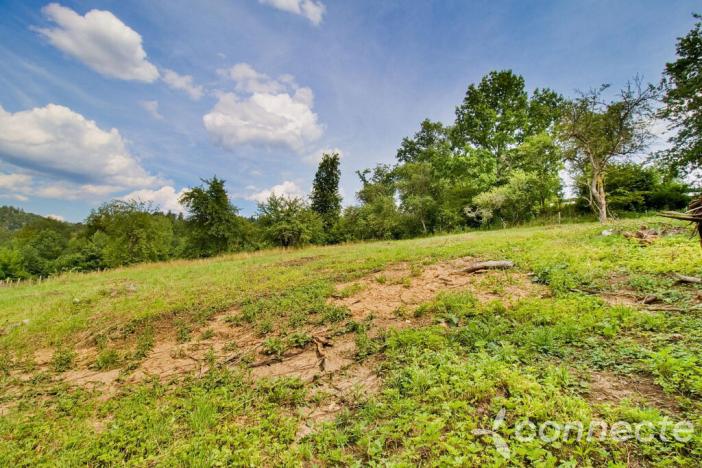 Prodej pozemku, Český Šternberk, 2000 m2