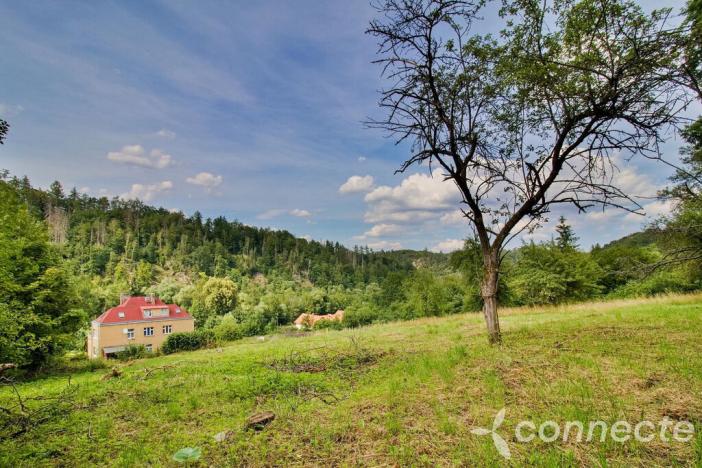 Prodej pozemku, Český Šternberk, 2000 m2