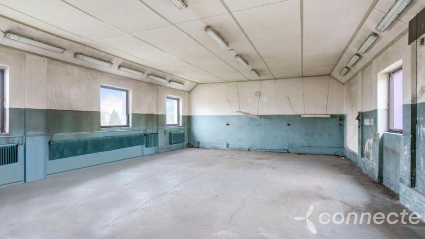 Prodej rodinného domu, Hřibiny-Ledská - Hřibiny, 196 m2