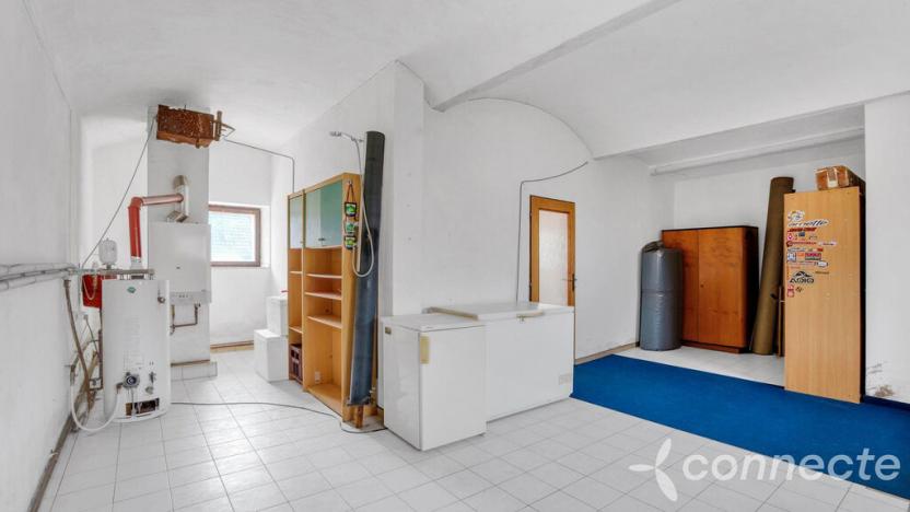 Prodej komerční, Hřibiny-Ledská - Hřibiny, 196 m2