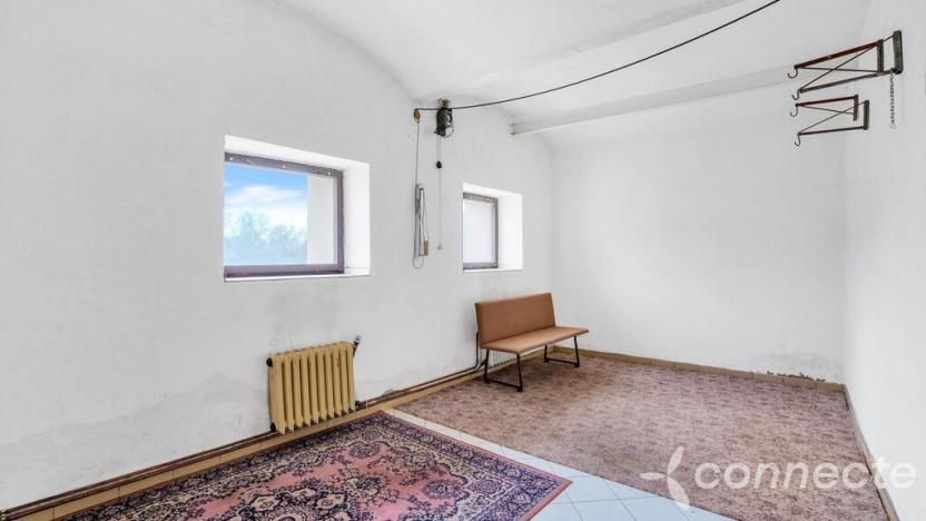 Prodej komerční, Hřibiny-Ledská - Hřibiny, 196 m2