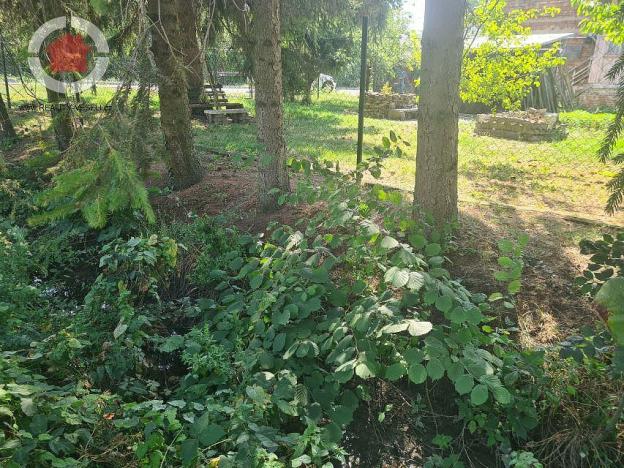 Prodej pozemku, Louka, 389 m2