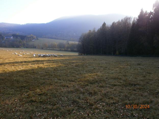 Prodej pozemku, Železná Ruda - Hojsova Stráž, 4029 m2
