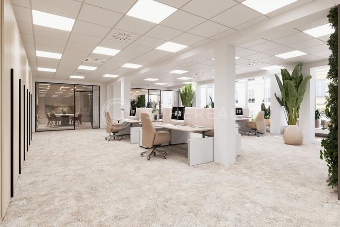 Pronájem kanceláře, Brno - Brno-město, Masarykova, 505 m2