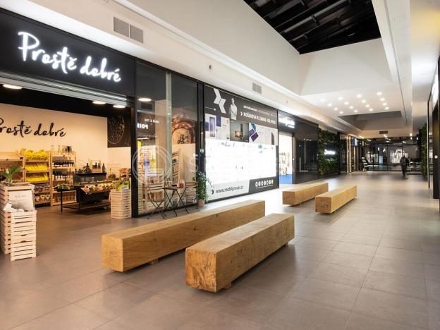 Pronájem kanceláře, Brno - Veveří, Šumavská, 270 m2