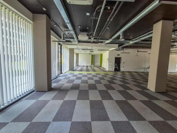 Pronájem kanceláře, Brno - Staré Brno, Nové sady, 400 m2