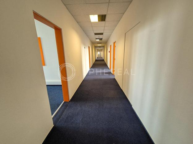 Pronájem kanceláře, Brno - Žabovřesky, Veveří, 470 m2