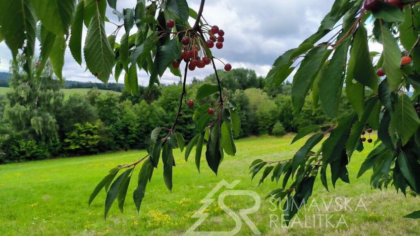 Prodej pozemku, Sušice - Záluží, 3500 m2