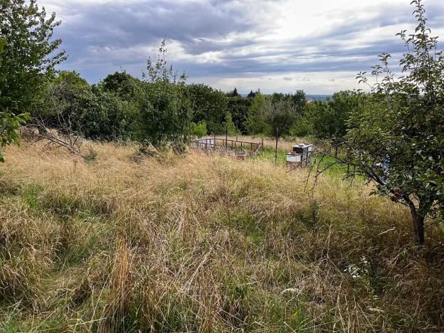 Prodej zahrady, Oslavany, 3447 m2