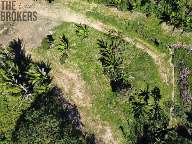 Prodej pozemku, Coxen Hole, Roatán, Honduras, 350 m2