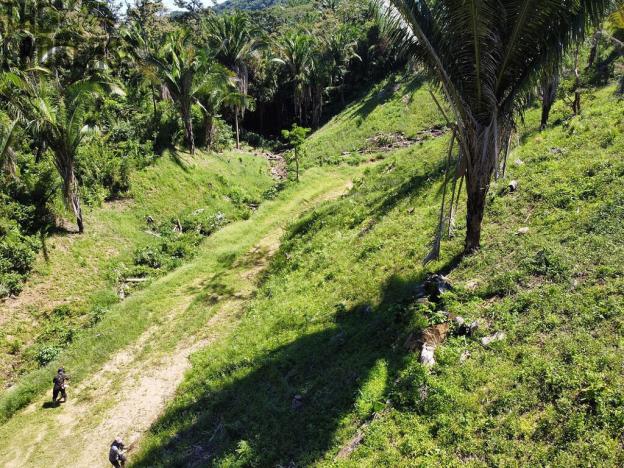 Prodej pozemku, Coxen Hole, Roatán, Honduras, 400 m2