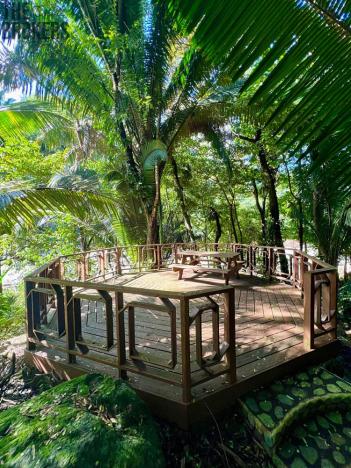 Prodej rodinného domu, La Ceiba, Honduras, 4080 m2