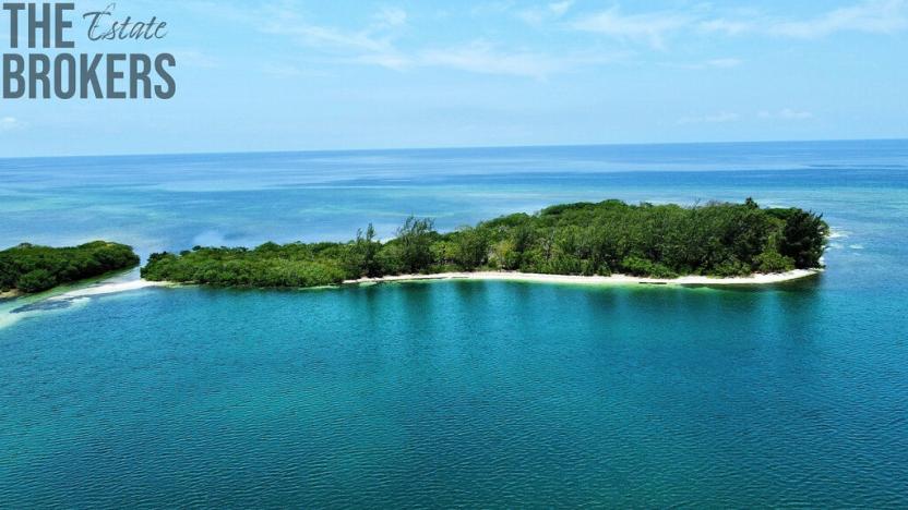 Prodej pozemku, Port Royal, José Santos Guardiola, Honduras, 161996 m2