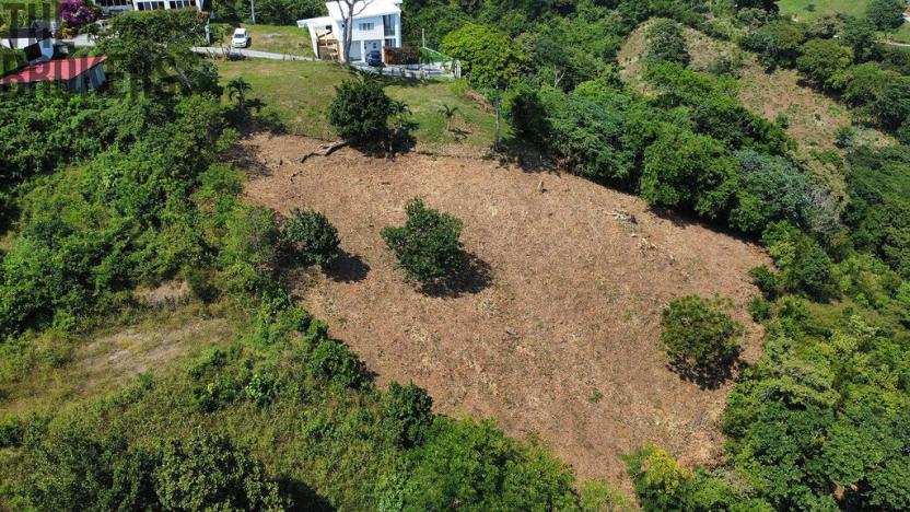 Prodej pozemku, French Harbour, Roatán, Honduras, 2428 m2