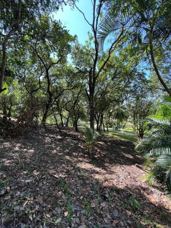 Prodej pozemku, Coxen Hole, Roatán, Honduras, 842 m2