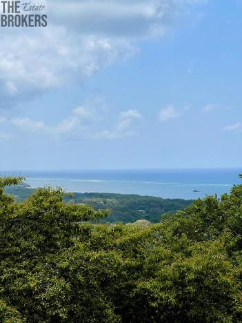 Prodej pozemku, Coxen Hole, Roatán, Honduras, 740 m2