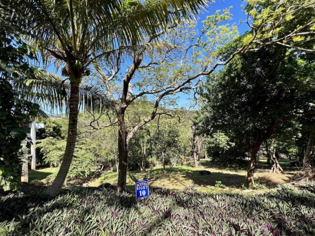 Prodej pozemku, Coxen Hole, Roatán, Honduras, 1872 m2