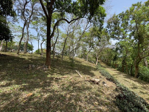 Prodej pozemku, Coxen Hole, Roatán, Honduras, 2400 m2