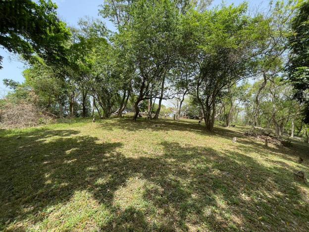 Prodej pozemku, Coxen Hole, Roatán, Honduras, 2400 m2