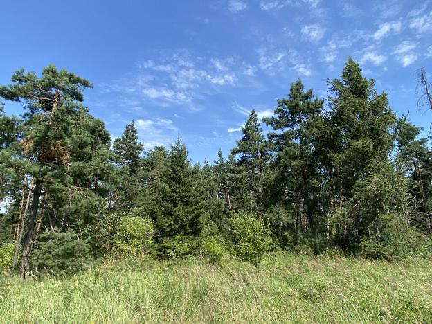 Prodej lesa, Slavičky - Pozďátky, 2084 m2
