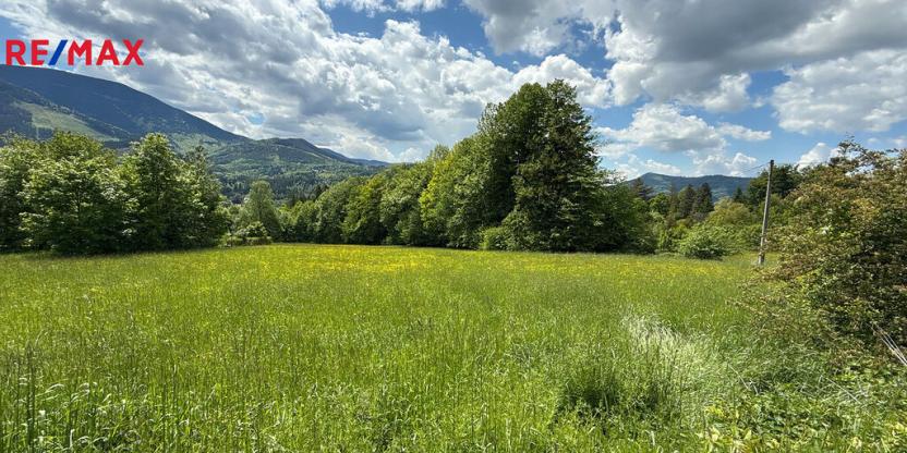 Prodej pozemku, Ostravice, 8947 m2