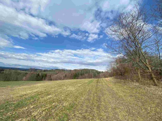 Prodej pole, Příkrý, 8128 m2