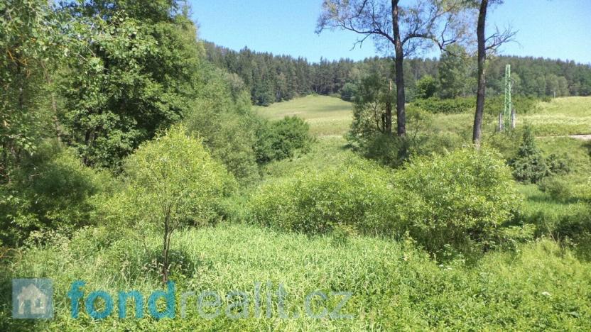 Prodej pozemku, Dolní Dvořiště - Jenín, 18903 m2