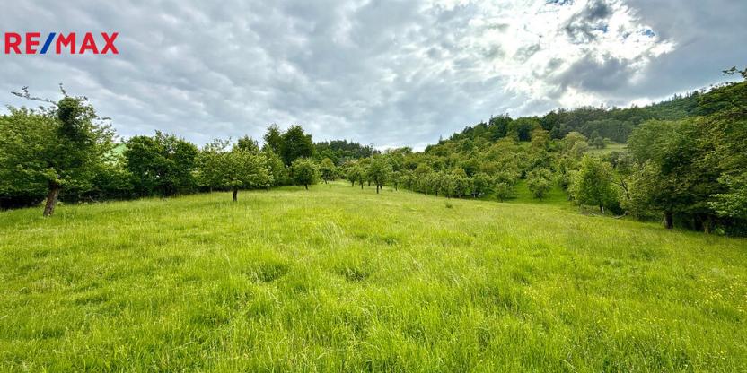 Prodej pozemku, Odry, 8311 m2