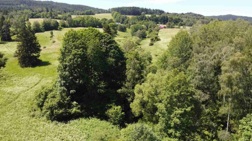 Prodej pozemku, Hartmanice, 9140 m2