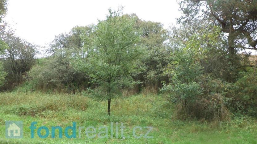 Prodej pozemku, Písečné, 3639 m2