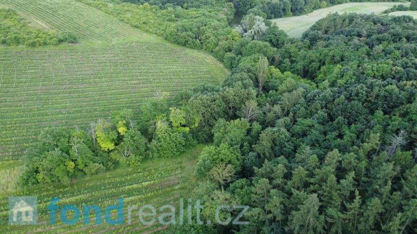 Prodej pozemku, Újezdec, 4351 m2