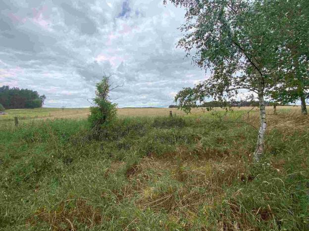 Prodej pozemku, Kladruby - Tuněchody, 2230 m2