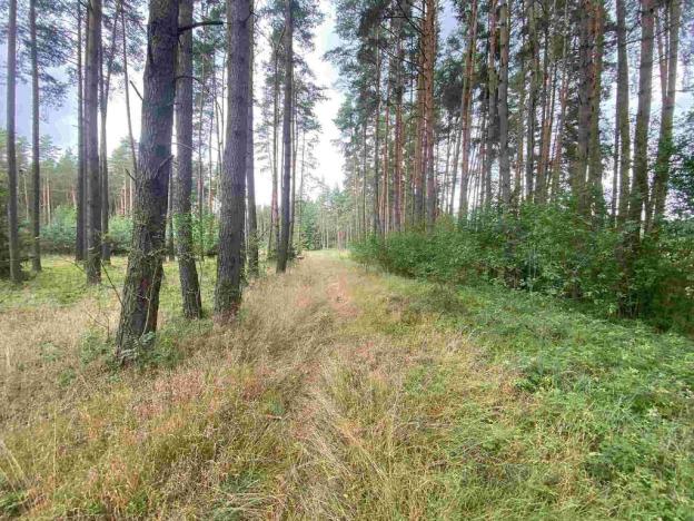 Prodej pozemku, Kladruby - Tuněchody, 2230 m2