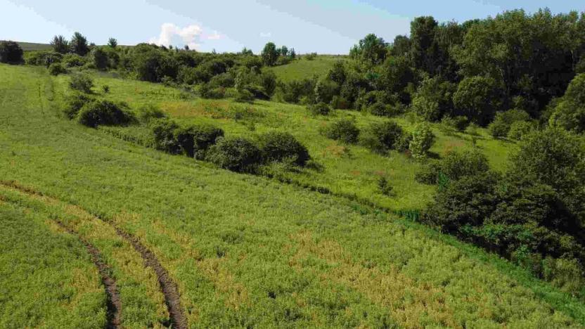 Prodej pole, Bučovice, 3134 m2
