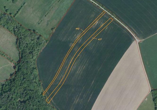 Prodej pozemku, Dobrkovice, 30944 m2