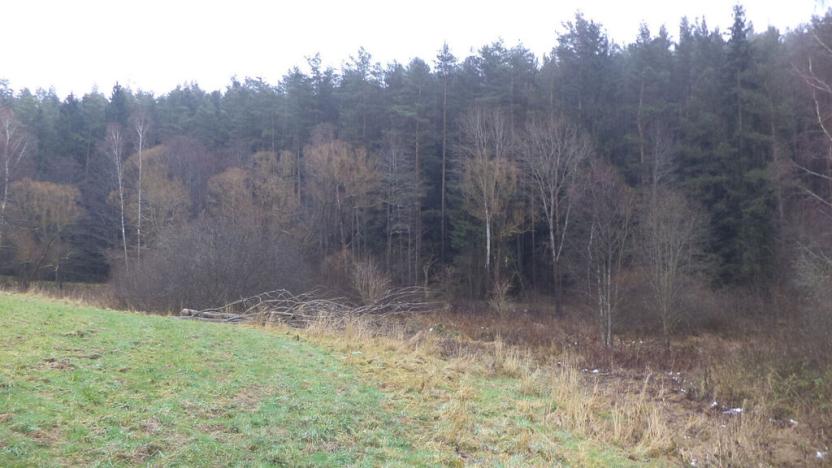 Prodej pozemku, Vyšší Brod, 919 m2