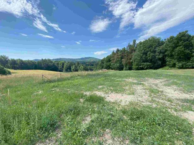 Prodej pozemku, Slavče - Dobrkovská Lhotka, 1308 m2