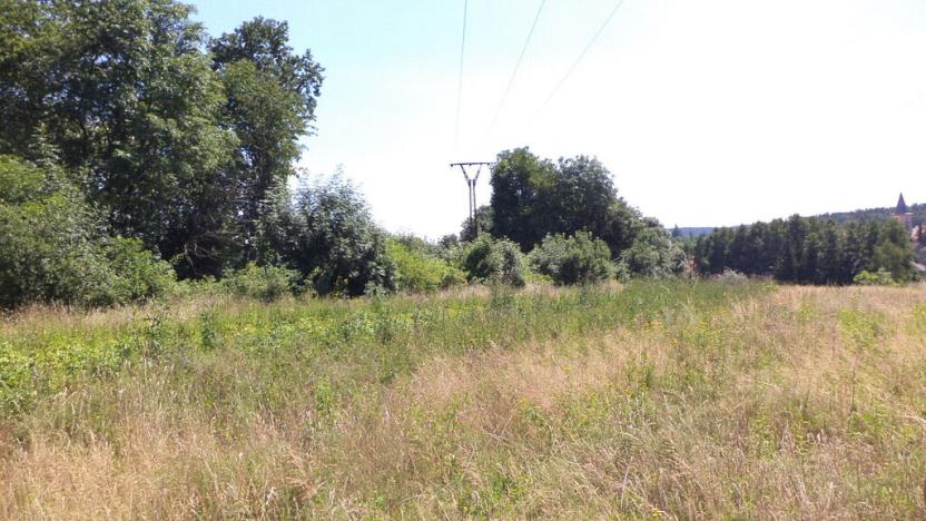 Prodej pozemku, Stráž, 15644 m2