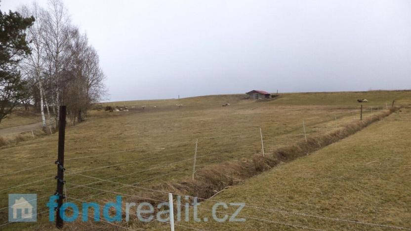 Prodej pozemku, Ločenice, 2346 m2