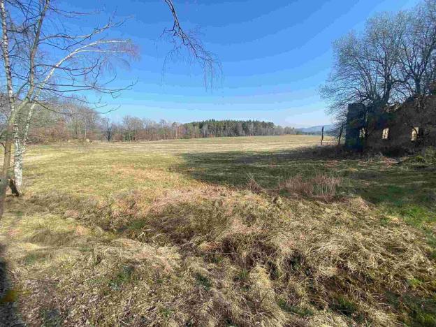 Prodej pozemku, Dolní Dvořiště - Všeměřice, 11107 m2