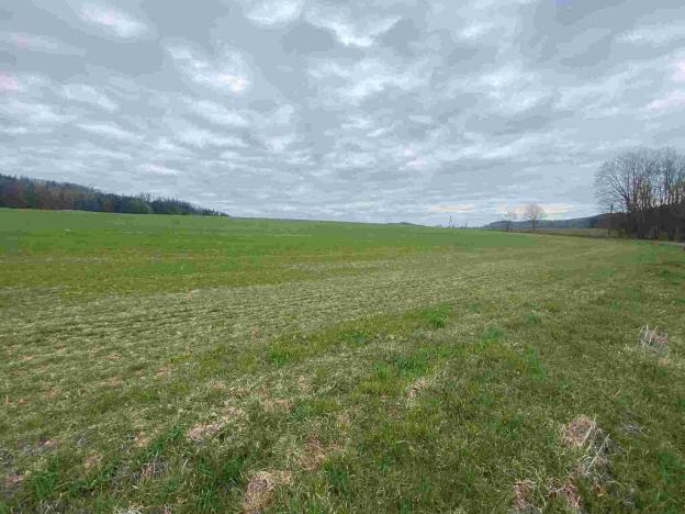 Prodej pole, Žinkovy, 15275 m2
